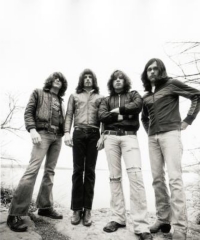 KINGS OF LEON: Roskilde-klare ( )