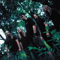 LAMB OF GOD: Til Hove
