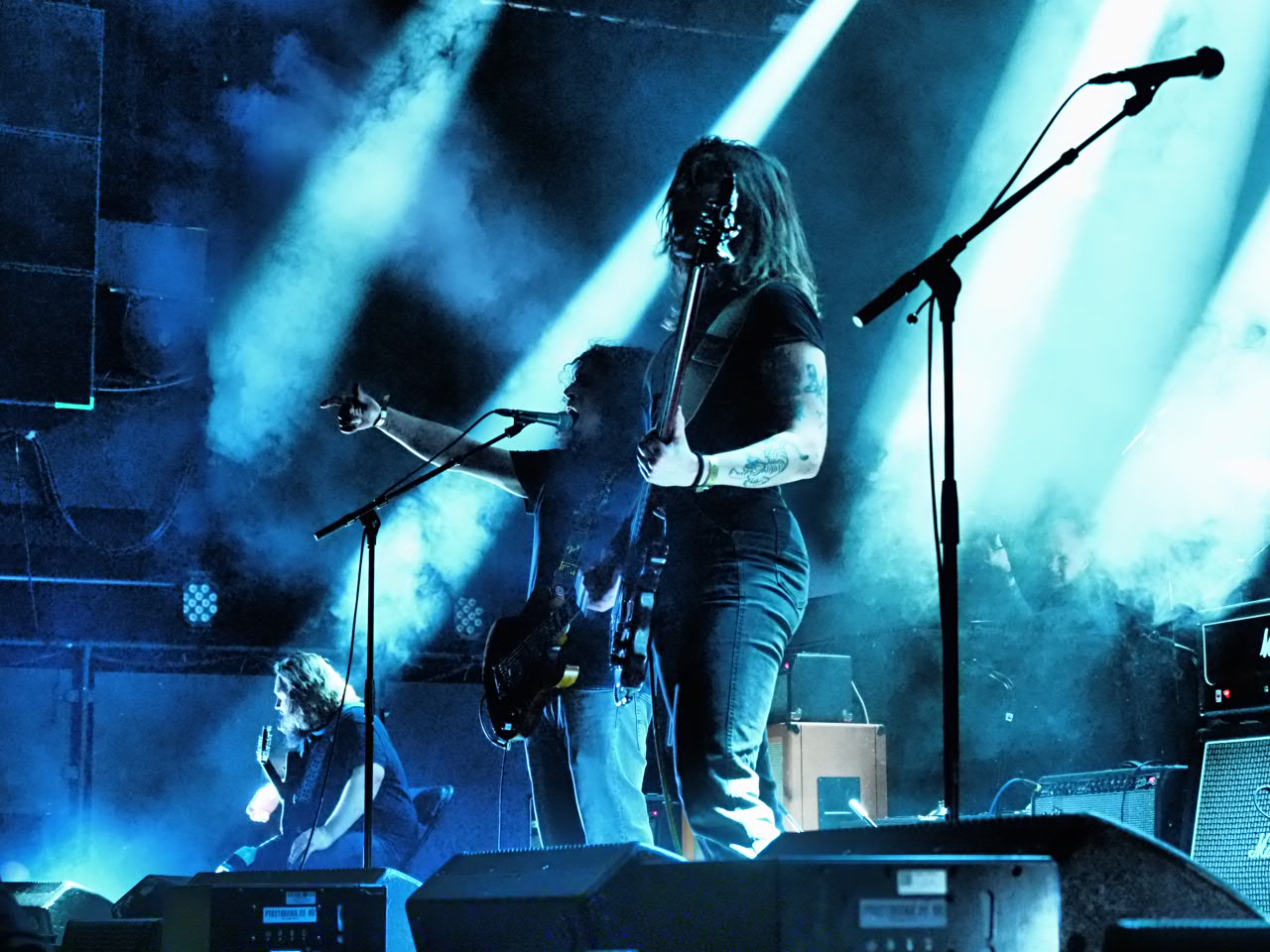 Slomosa / Foto: Siri Bjoner