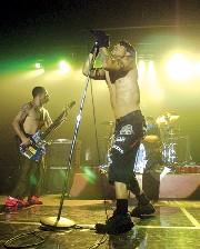 RED HOT CHILI PEPPERS: Norge i desember?