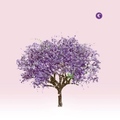 E: Både soloalbum og bandalbum på gang ( )