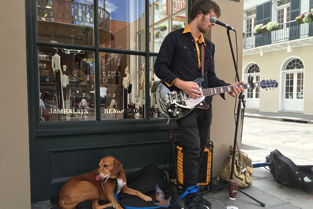 FIN BIKKJE:Savner god gatemusikk også. her fra New Orleans i 2018. Bikkja digget. Foto: Tom Stalsberg