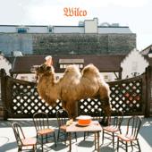 WILCO: Går til filmen (Foto: Lene Hoem Røysum/PULS)